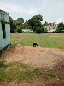  Commercial Land for Sale in Jhargram, Medinipur