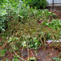  Residential Plot for Sale in Andheri East, Mumbai