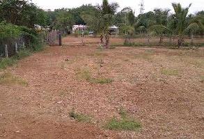  Agricultural Land for Sale in Sihora, Jabalpur