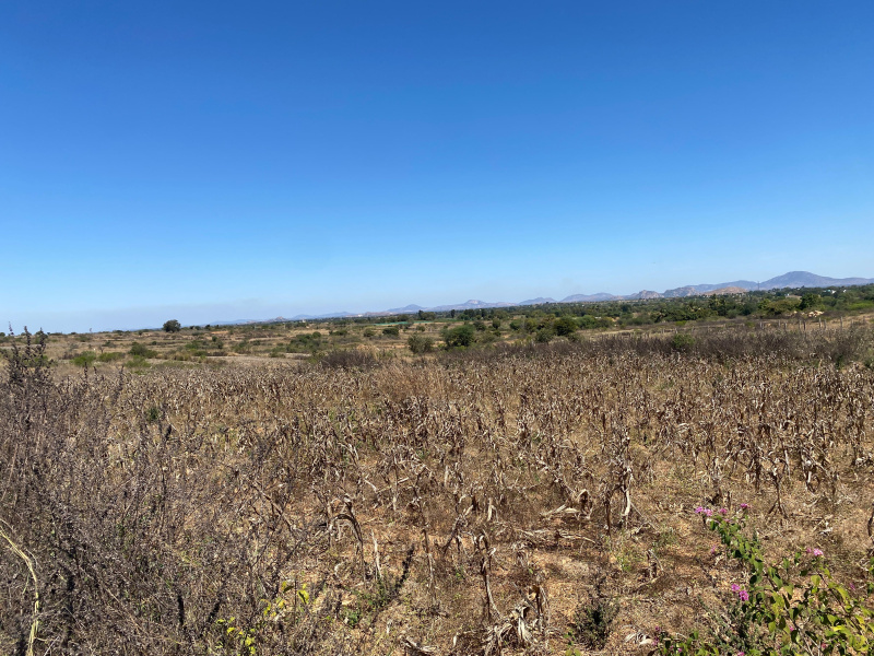  Residential Plot 120 Acre for Sale in Chikkaballapur, Bangalore