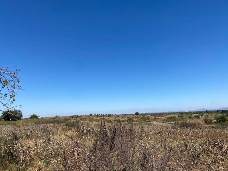  Residential Plot 120 Acre for Sale in Chikkaballapur, Bangalore