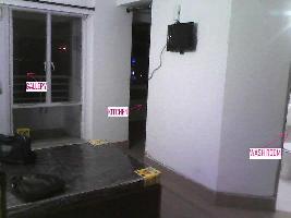 1 BHK Flat for Rent in Sector 42 Gurgaon