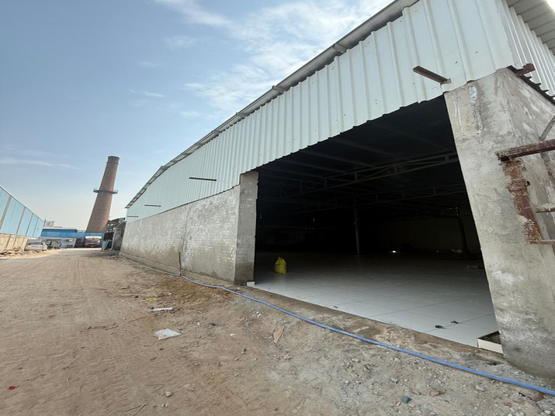 Warehouse 6500 Sq.ft. for Rent in Pace City I, Sector 10A Gurgaon