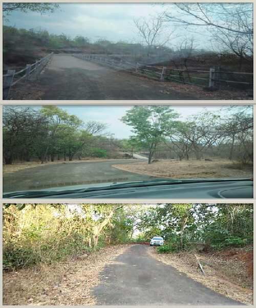  Agricultural Land 143 Acre for Sale in Kamshet, Pune