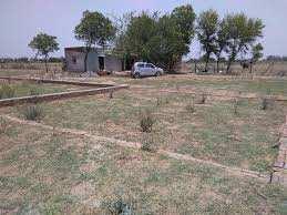 Residential Plot for Sale in Sohna Road, Gurgaon