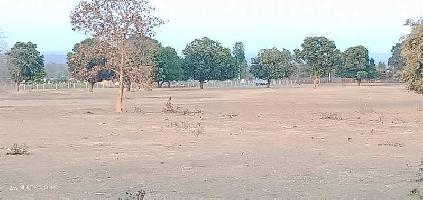  Agricultural Land for Sale in Chandrapur  Forest Area, Chandrapur