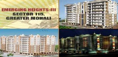 1 BHK Flat for Sale in Sector 115 Mohali