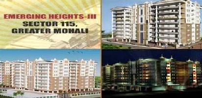 1 BHK Flat for Sale in Sector 115 Mohali