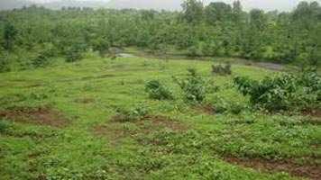  Residential Plot for Sale in Raj Nagar Extension, Ghaziabad