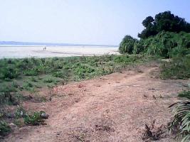  Agricultural Land for Sale in Bhatkal, Uttara Kannada