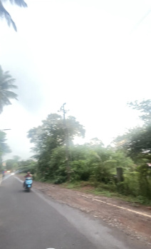  Residential Plot for Sale in Assagaon, North Goa, 