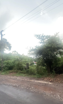  Residential Plot for Sale in Assagaon, North Goa, 