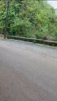  Residential Plot for Sale in Moira, North Goa