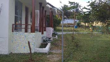 1 BHK House for Sale in Masinagudi, Ooty