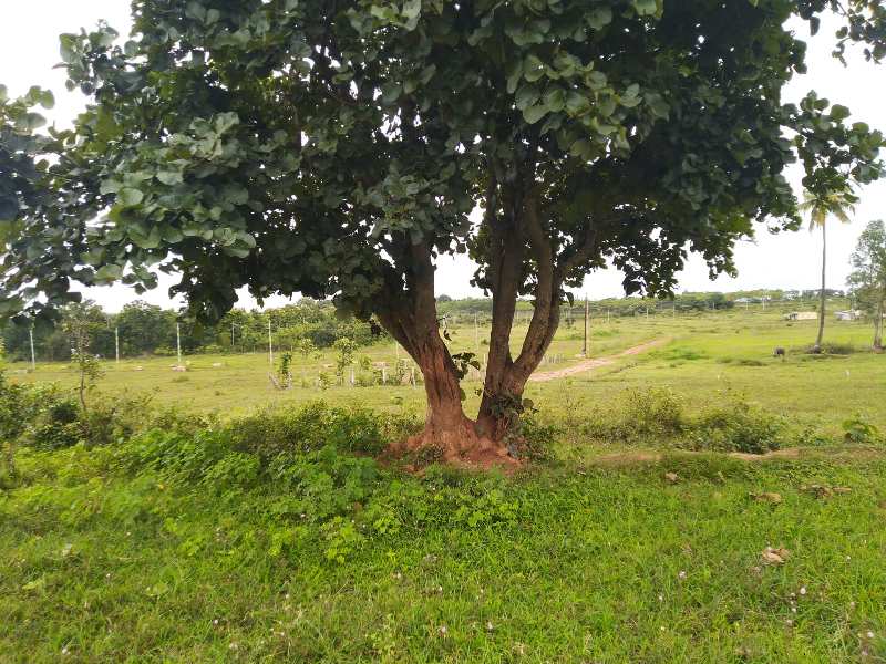  Agricultural Land 2 Ares for Sale in Belur Industrial Area, Dharwad