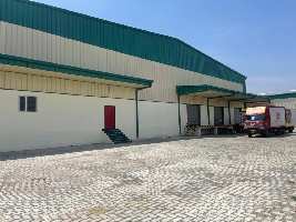  Warehouse for Rent in Shambhoo Khurd, Rajpura