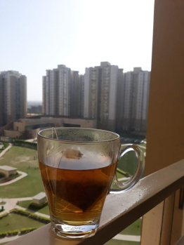2.5 BHK Flat for Sale in Sector 137 Noida