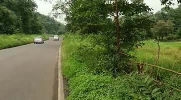  Agricultural Land for Sale in Pali, Raigad
