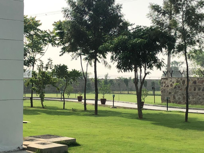  502 Sq. Yards Residential Plot for Sale in DLF Phase I, Gurgaon