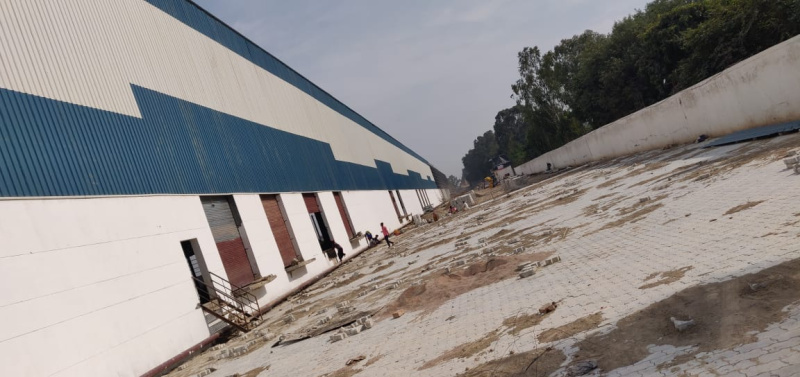  Warehouse 200000 Sq.ft. for Rent in Ecotech XII, Greater Noida