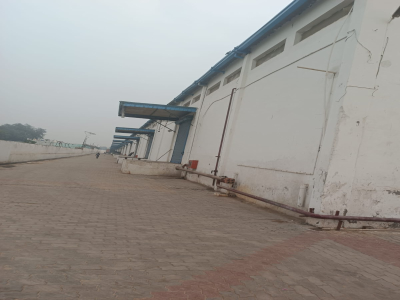  Warehouse 50000 Sq.ft. for Rent in Ecotech III, Greater Noida