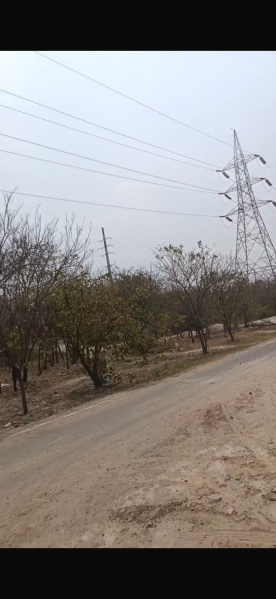  Warehouse 40000 Sq.ft. for Rent in Ecotech I Extension, Greater Noida