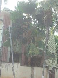 3 BHK House for Sale in Nagercoil, Kanyakumari