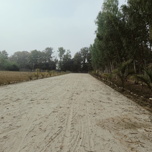  Residential Plot 150 Sq.ft. for Sale in Biharigarh, Dehradun