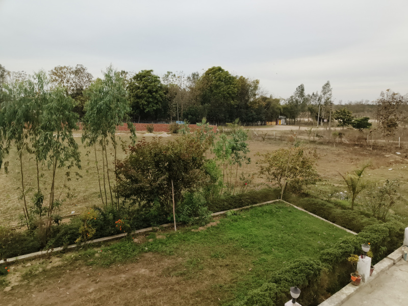  Residential Plot 500 Sq. Yards for Sale in Biharigarh, Dehradun