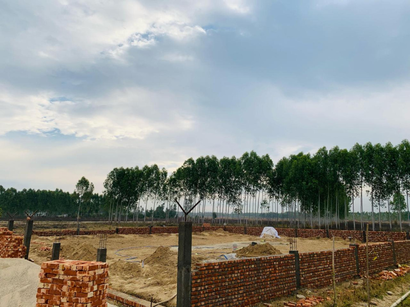  Residential Plot 100 Sq. Yards for Sale in Biharigarh, Dehradun
