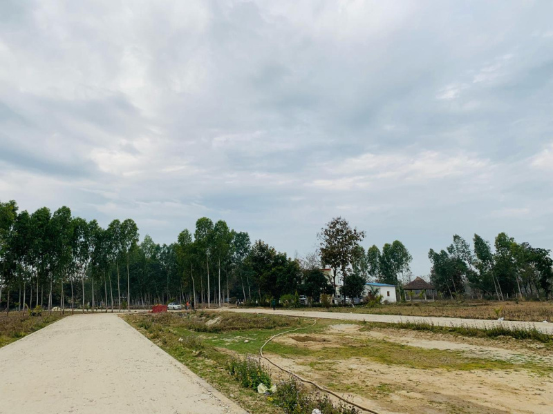  Residential Plot 100 Sq. Yards for Sale in Biharigarh, Dehradun