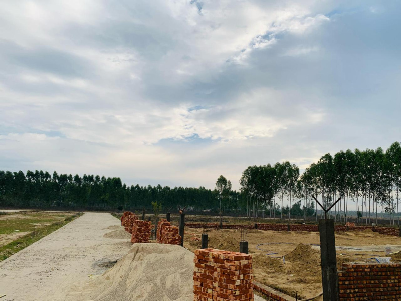  Residential Plot 500 Sq. Yards for Sale in Biharigarh, Dehradun