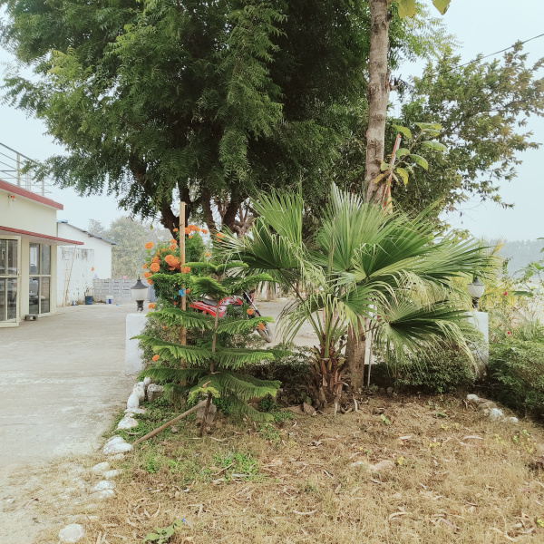  Residential Plot 150 Sq.ft. for Sale in Biharigarh, Dehradun