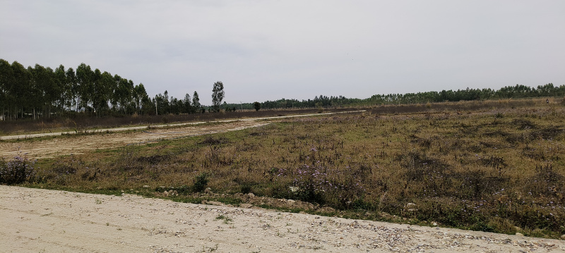  Residential Plot 600 Sq. Yards for Sale in Biharigarh, Dehradun