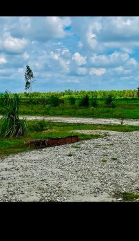  Residential Plot for Sale in Biharigarh, Dehradun