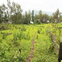  Agricultural Land for Sale in Panchgani, Satara