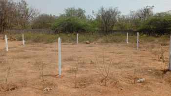  Residential Plot for Sale in Shadnagar, Hyderabad