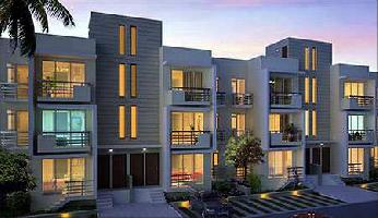 3 BHK Builder Floor for Sale in TDI City Kundli, Sonipat