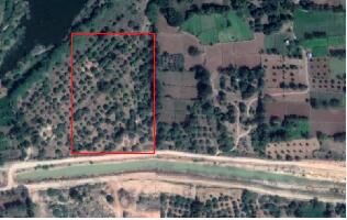  Agricultural Land for Sale in Madanapalle, Chittoor