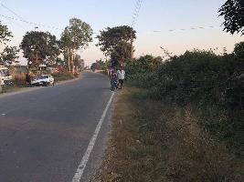  Agricultural Land for Sale in Shimla Bypass Road, Dehradun