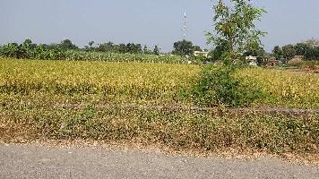  Agricultural Land for Sale in Nanda Ki Chowki, Dehradun