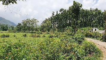  Agricultural Land for Sale in Dholas, Dehradun