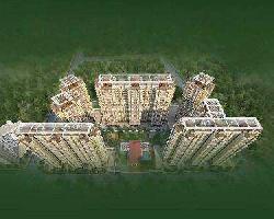 1 BHK Flat for Sale in Borpada, Bhiwandi, Thane