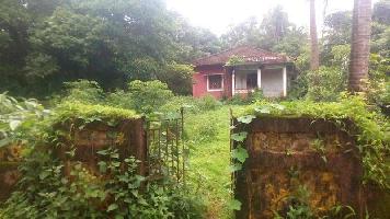  Residential Plot for Sale in Socorro(Serula), Goa