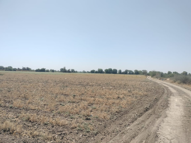  Industrial Land 8000 Sq. Yards for Sale in Mandal, Ahmedabad