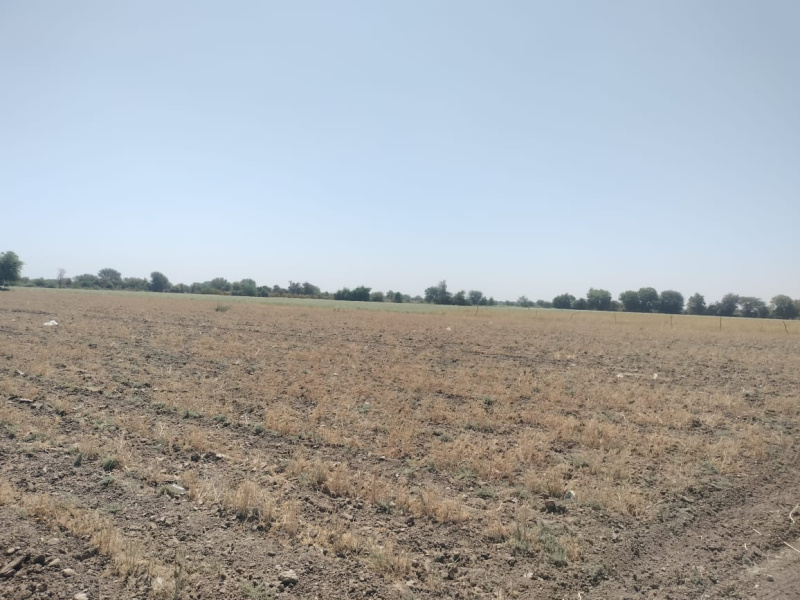  Industrial Land 8000 Sq. Yards for Sale in Mandal, Ahmedabad