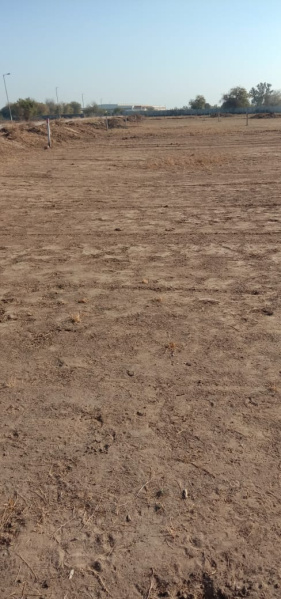  Industrial Land 1900 Sq. Yards for Sale in Bavla, Ahmedabad
