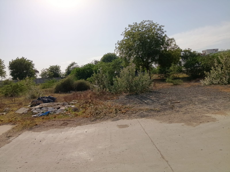  Industrial Land 1200 Sq. Yards for Sale in Bavla, Ahmedabad