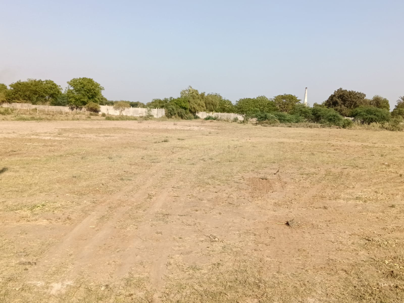  Industrial Land 1050 Sq. Yards for Sale in Bavla, Ahmedabad