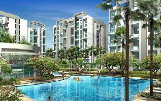 3 BHK Flat for Sale in Pimpri Chinchwad, Pune